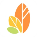 自律树app